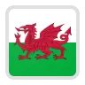UEFA Women’s Euro Championship-Wales