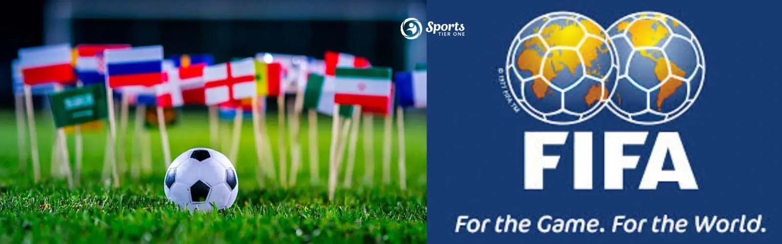 Fifa World Cup